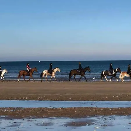 Superbe Terrasse - & A 50m ! Villers-sur-Mer
