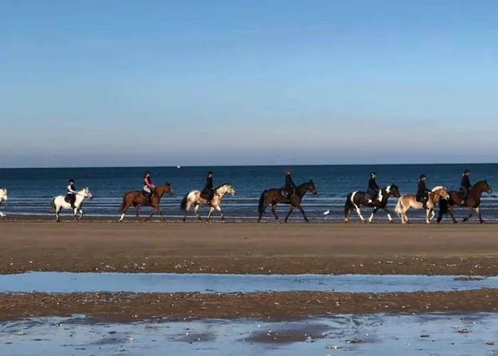 Superbe Terrasse - & A 50m ! Villers-sur-Mer