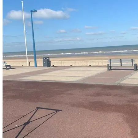 公寓 Superbe Terrasse - & A 50m ! 滨海维莱