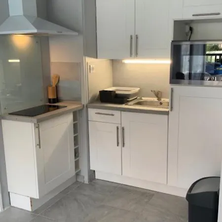 公寓 Superbe Terrasse - & A 50m ! 滨海维莱