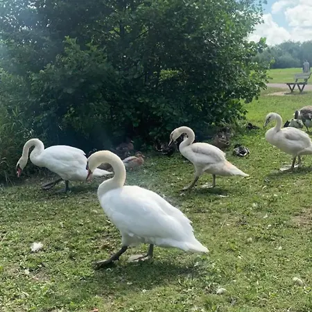 Superbe Terrasse - & A 50m ! Villers-sur-Mer