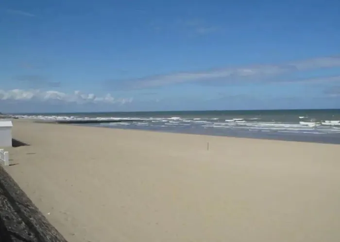 Appartement Superbe Terrasse - & A 50m ! *