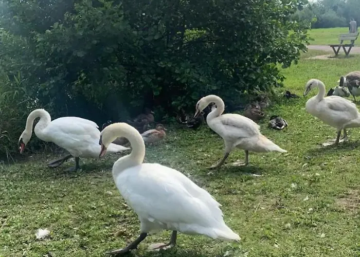 Superbe Terrasse - & A 50m ! Villers-sur-Mer